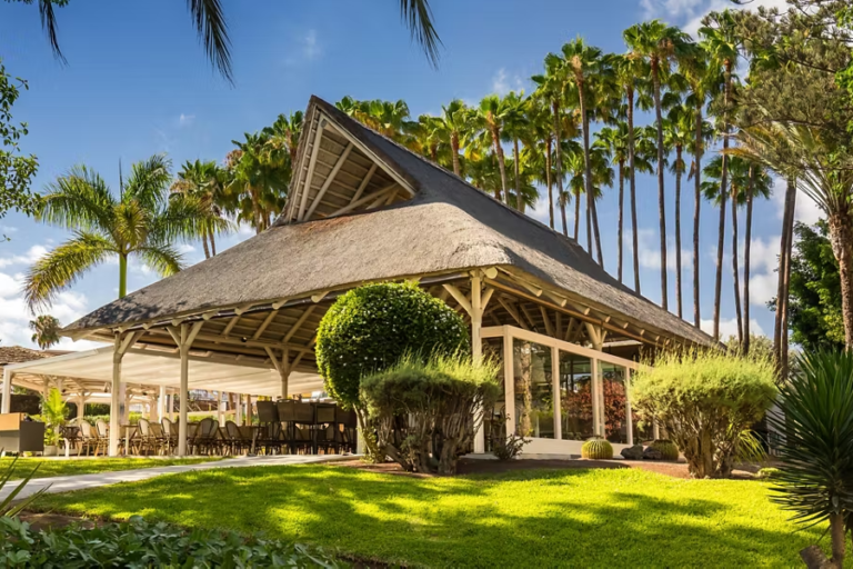 Barceló Margaritas Royal Level - World Day Pass